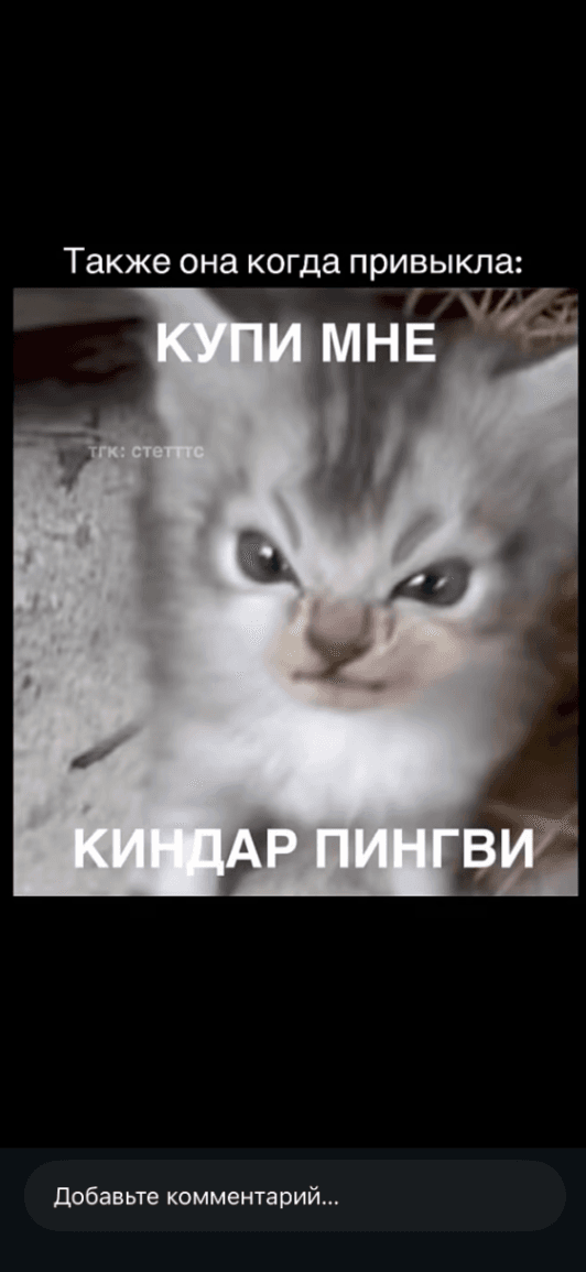 Я 👩 ищу 👨 → 🏔